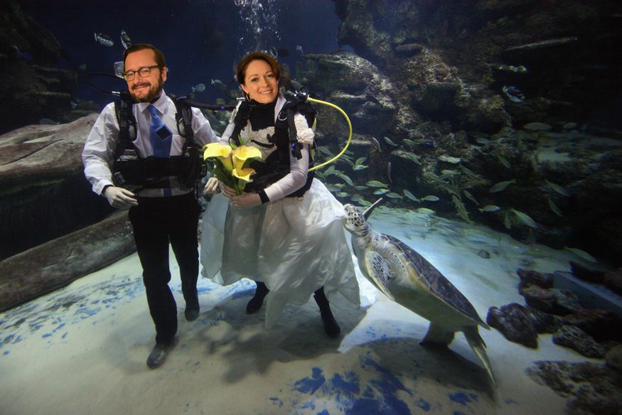 montage d'Alain et Marie qui se marient en plongée